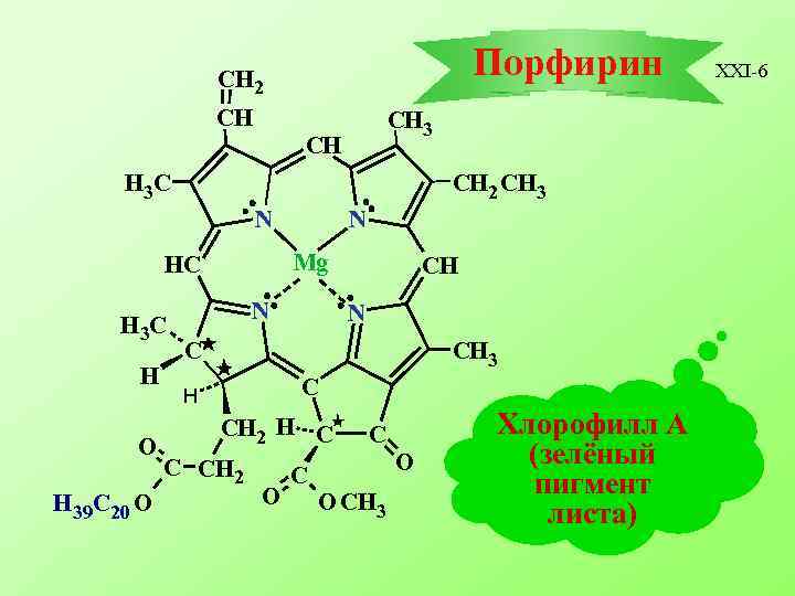 Порфирин CH 2 CH CH 3 CH H 3 C CH 2 CH 3