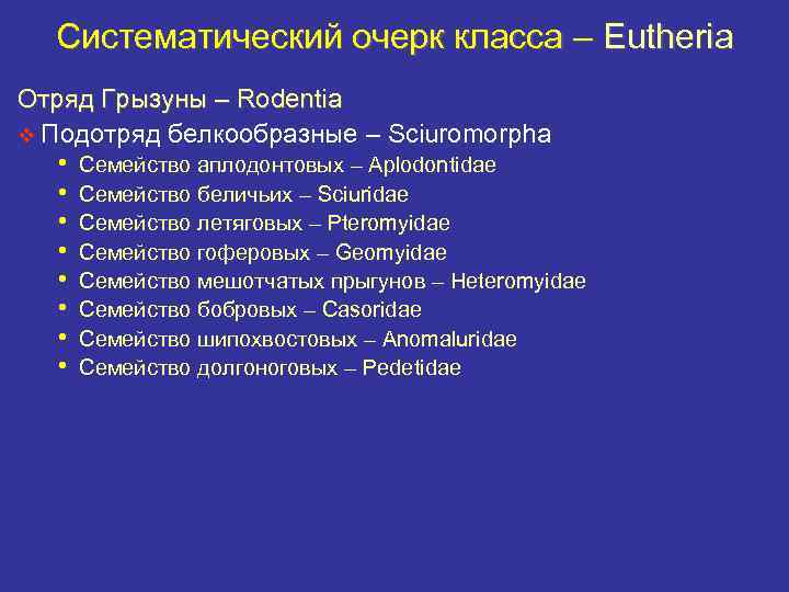 Систематический очерк класса – Eutheria Отряд Грызуны – Rodentia v Подотряд белкообразные – Sciuromorpha