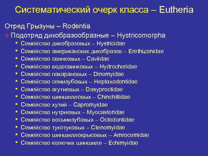 Систематический очерк класса – Eutheria Отряд Грызуны – Rodentia v Подотряд дикобразообразные – Hystricomorpha