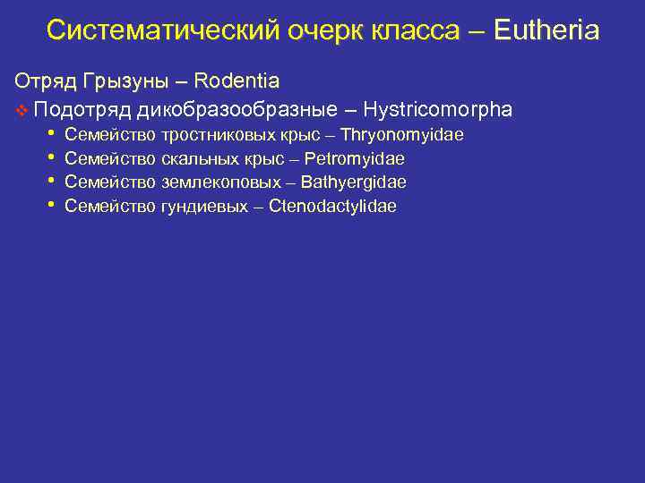 Систематический очерк класса – Eutheria Отряд Грызуны – Rodentia v Подотряд дикобразообразные – Hystricomorpha