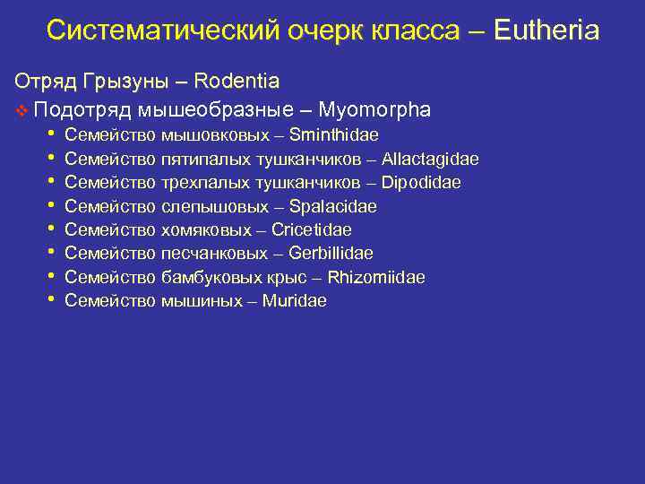 Систематический очерк класса – Eutheria Отряд Грызуны – Rodentia v Подотряд мышеобразные – Myomorpha