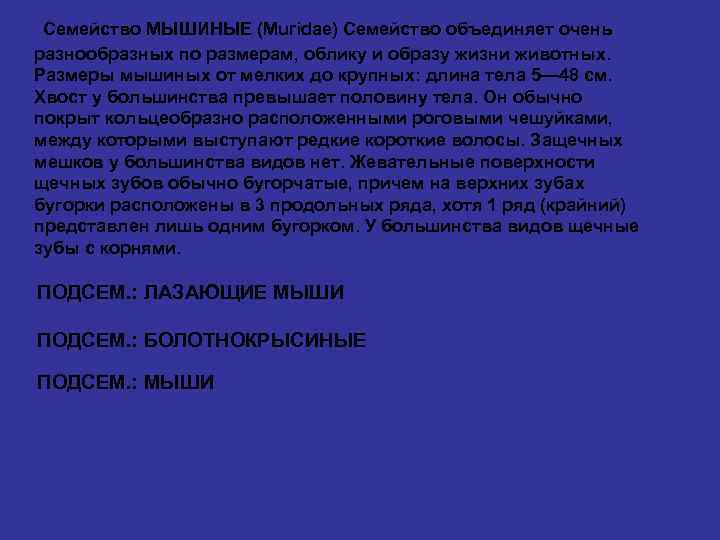 Семейство МЫШИНЫЕ (Muridae) Семейство объединяет очень разнообразных по размерам, облику и образу жизни животных.