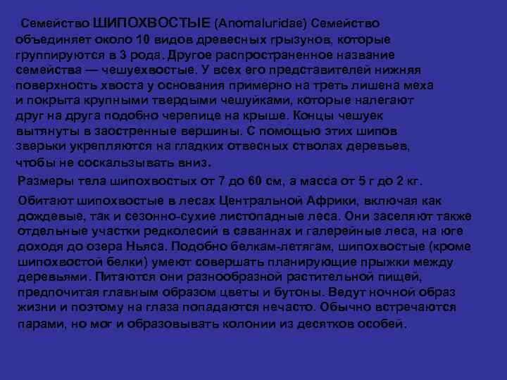 Семейство ШИПОХВОСТЫЕ (Anomaluridae) Семейство объединяет около 10 видов древесных грызунов, которые группируются в 3