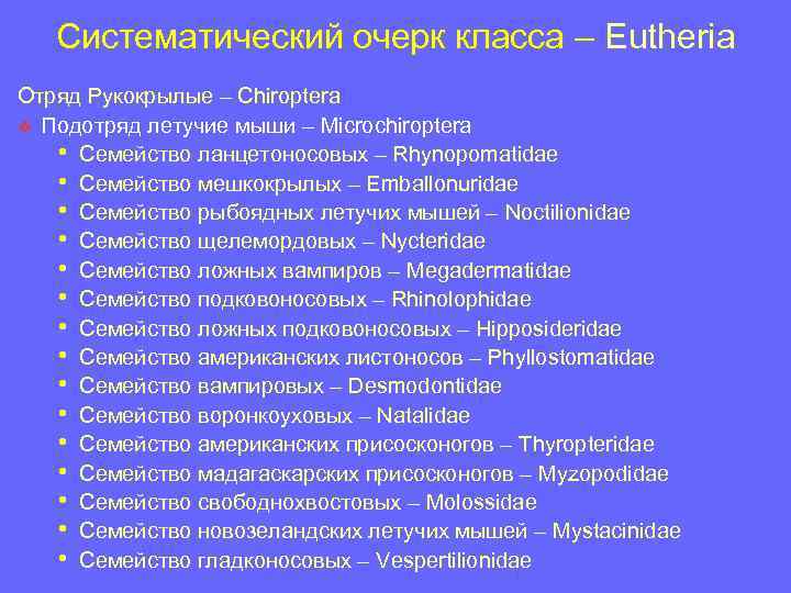 Систематический очерк класса – Eutheria Отряд Рукокрылые – Chiroptera v Подотряд летучие мыши –