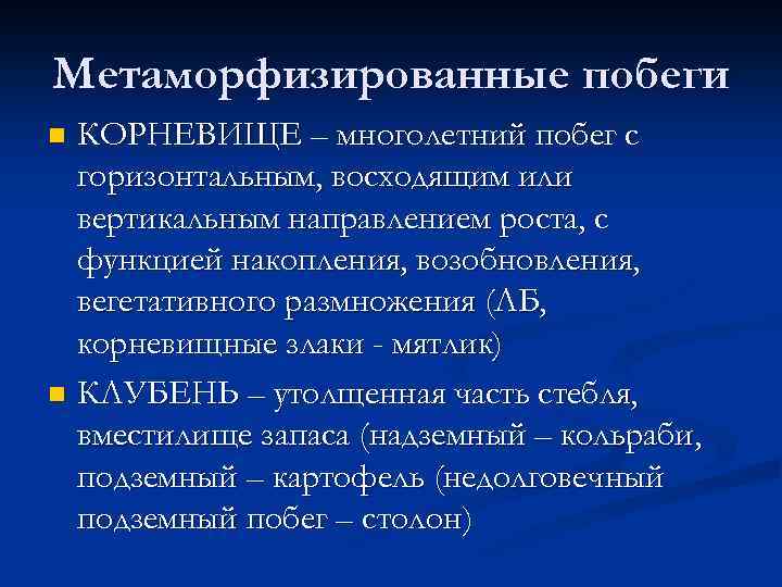 Метаморфизированные побеги КОРНЕВИЩЕ – многолетний побег с горизонтальным, восходящим или вертикальным направлением роста, с