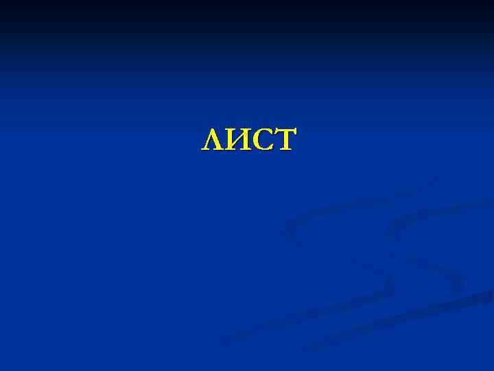 ЛИСТ 