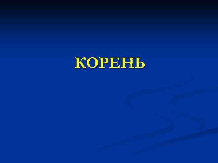КОРЕНЬ 