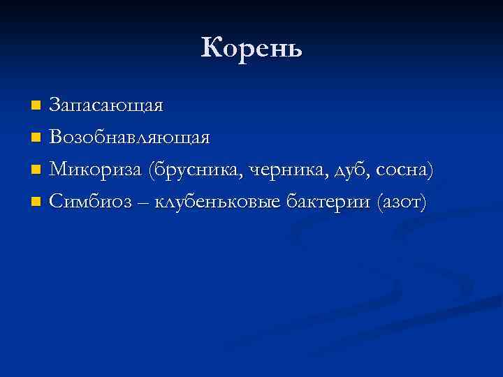 Корень Запасающая n Возобнавляющая n Микориза (брусника, черника, дуб, сосна) n Симбиоз – клубеньковые