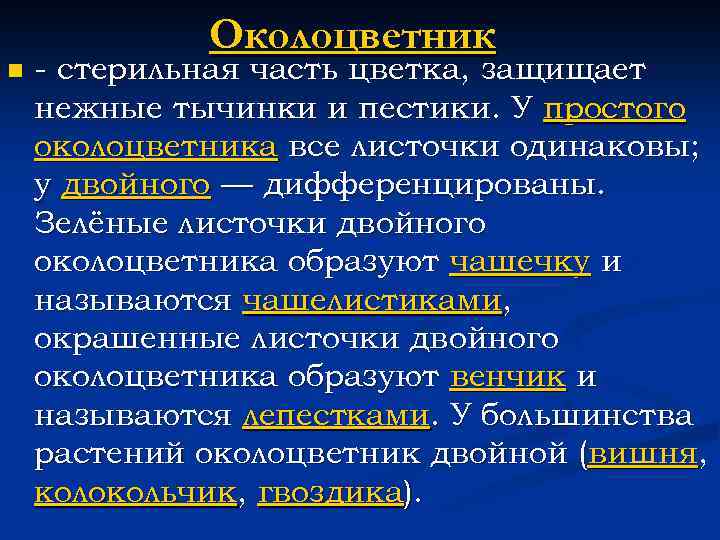 n Околоцветник - стерильная часть цветка, защищает нежные тычинки и пестики. У простого околоцветника
