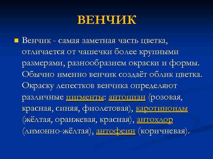 ВЕНЧИК n Венчик - самая заметная часть цветка, отличается от чашечки более крупными размерами,