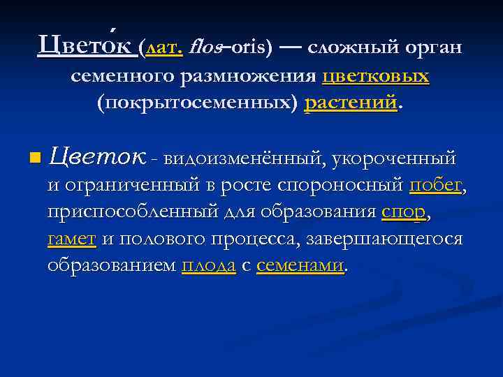 Цвето к (лат. flos–oris) — сложный орган семенного размножения цветковых (покрытосеменных) растений. n Цветок
