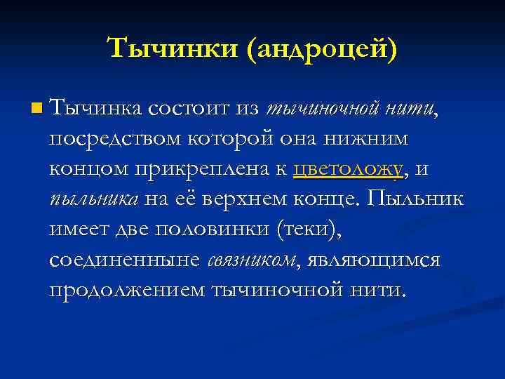 Тычинка состоит из. Функции тычинки. Тычиночная нить функции. Тычинки выполняют функцию. Роль тычинки.