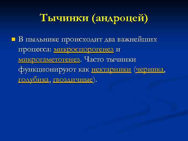Тычинки (андроцей) n В пыльнике происходит два важнейших процесса: микроспорогенез и микрогаметогенез. Часто тычинки