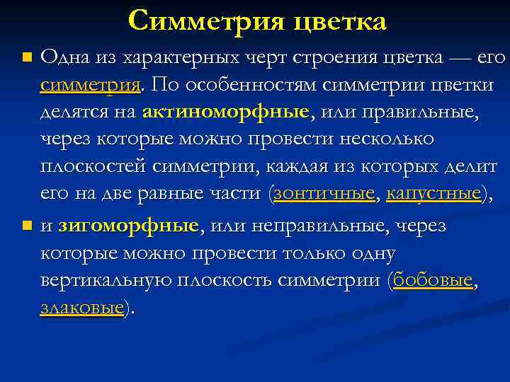 Симметрия цветка Одна из характерных черт строения цветка — его симметрия. По особенностям симметрии