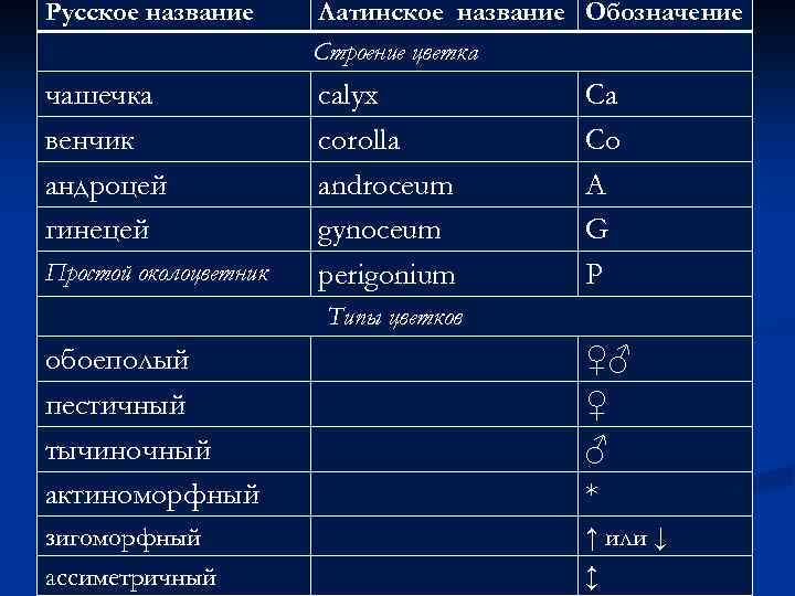 Русское название Латинское название Обозначение Строение цветка чашечка венчик андроцей гинецей calyx corolla androceum