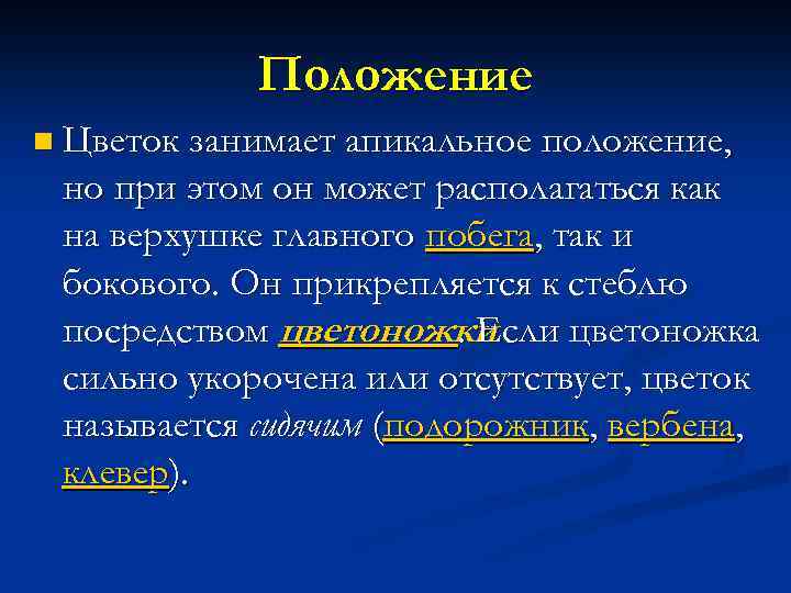 Положение n Цветок занимает апикальное положение, но при этом он может располагаться как на