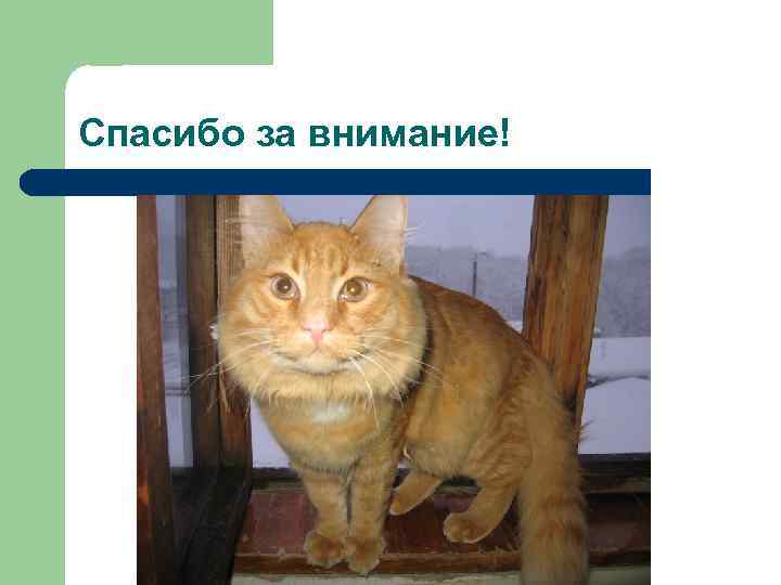 Спасибо за внимание! 