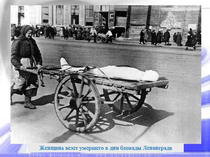 Женщина везет умершего в дни блокады Ленинграда 