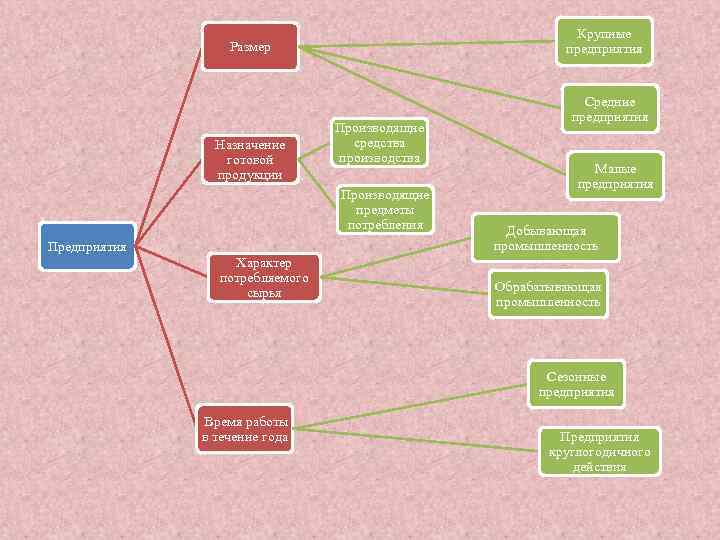 Крупные предприятия Размер Назначение готовой продукции Производящие средства производства Производящие предметы потребления Предприятия Характер