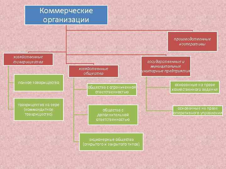 Коммерческие организации производственные кооперативы хозяйственные товарищества хозяйственные общества полное товарищество на вере (коммандитное товарищество)