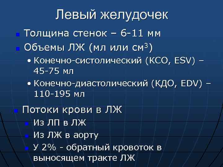 Левый желудочек n n Толщина стенок – 6 -11 мм Объемы ЛЖ (мл или