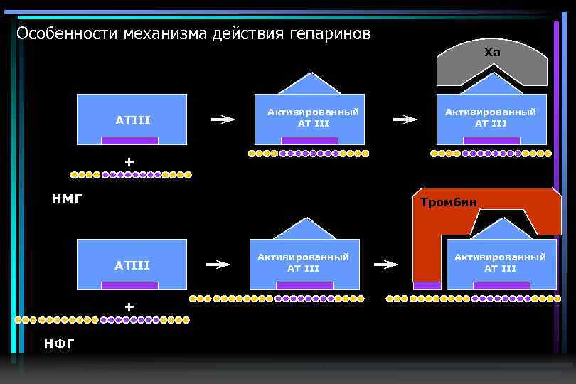 Особенности механизма действия гепаринов Ха АТIII Активированный АТ III + НМГ Тромбин АТIII +