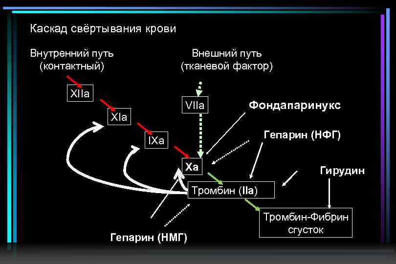 Схемы свертывания крови по внешнему и внутреннему пути