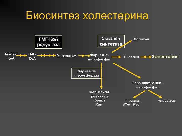 Биосинтез холестерина Сквален синтетаза ГМГ-Ко. А редуктаза Ацетил Ко. А ГМГКо. А Мевалонат Фарнезилпирофосфат