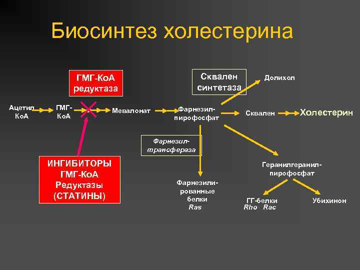 Биосинтез холестерина Сквален синтетаза ГМГ-Ко. А редуктаза Ацетил Ко. А ГМГКо. А Мевалонат Фарнезилпирофосфат