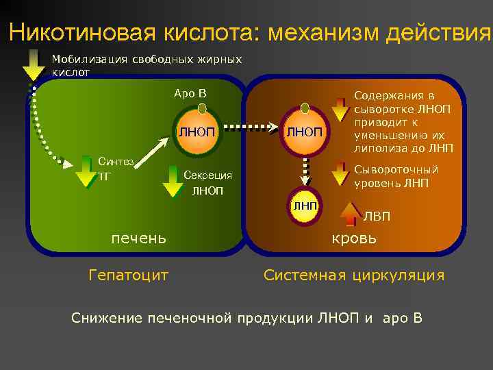 Мобилизация свободных денежных средств