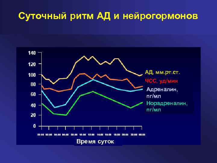 Тест определяющий суточного ритма