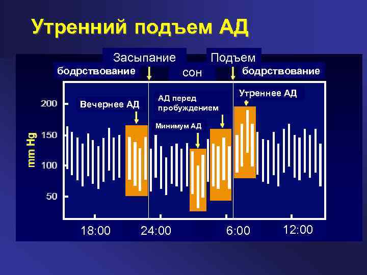 Утренний подъем АД Засыпание бодрствование Вечернее АД Подъем сон АД перед пробуждением бодрствование Утреннее