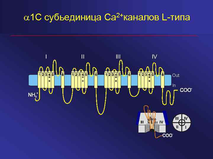 Канал l m