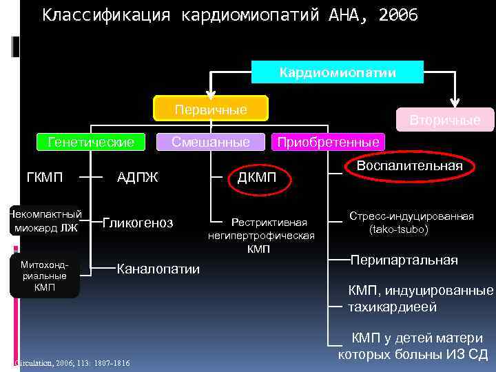 Классификация кардиомиопатий АНА, 2006 Кардиомиопатии Первичные Генетические Смешанные ГКМП АДПЖ Некомпактный миокард ЛЖ Гликогеноз