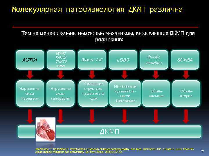 Молекулярная патофизиология ДКМП различна Тем не менее изучены некоторые механизмы, вызывающие ДКМП для ряда