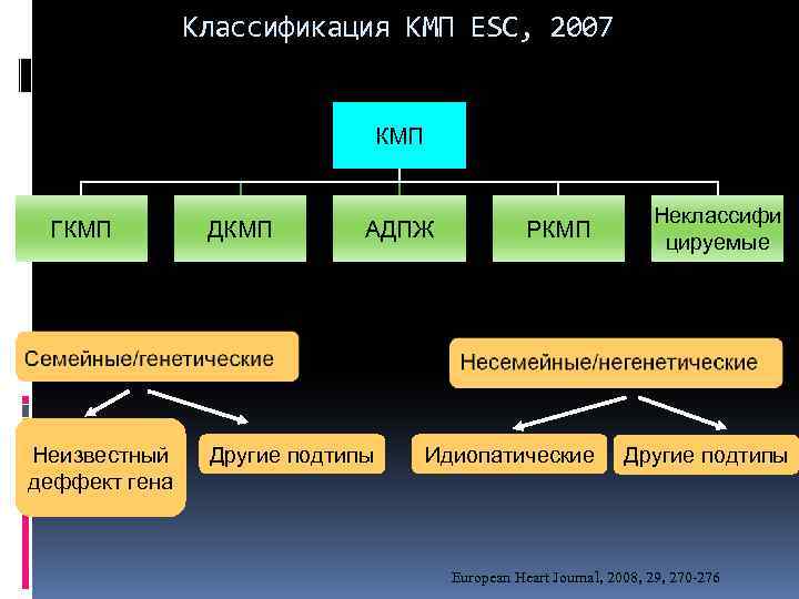 Классификация КМП ESC, 2007 КМП ГКМП Неизвестный деффект гена ДКМП АДПЖ Другие подтипы РКМП