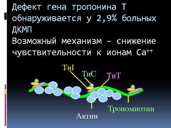 Дефект гена тропонина Т обнаруживается у 2, 9% больных ДКМП Возможный механизм – снижение