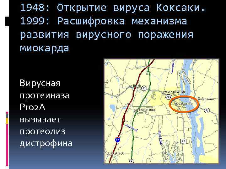 1948: Открытие вируса Коксаки. 1999: Расшифровка механизма развития вирусного поражения миокарда Вирусная протеиназа Pro