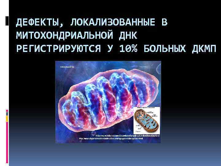 ДЕФЕКТЫ, ЛОКАЛИЗОВАННЫЕ В МИТОХОНДРИАЛЬНОЙ ДНК РЕГИСТРИРУЮТСЯ У 10% БОЛЬНЫХ ДКМП 