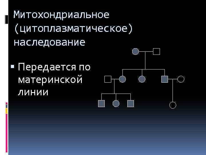 Митохондриальное наследование. Цитоплазматический Тип наследования. Митохондриальный Тип наследования. Наследование по материнской линии.