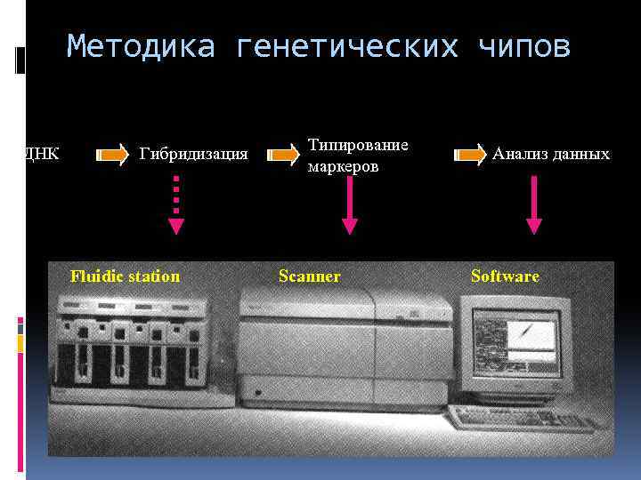 Методика генетических чипов ДНК Гибридизация Fluidic station Типирование маркеров Scanner Анализ данных Software 