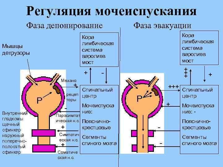 Что такое депонирование файла