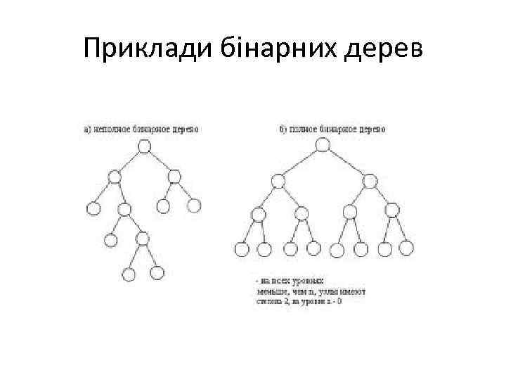 Приклади бінарних дерев 