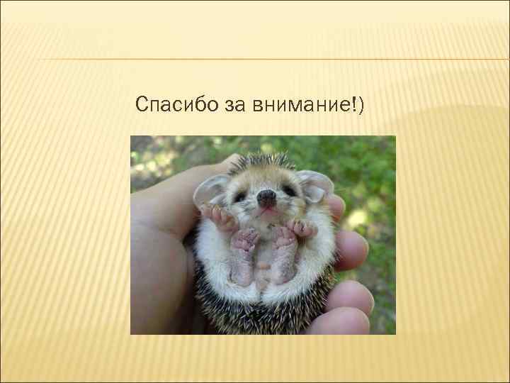 Спасибо за внимание!) 