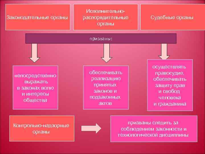 Законодательные органы Исполнительнораспорядительные органы Судебные органы призваны: непосредственно выражать в законах волю и интересы