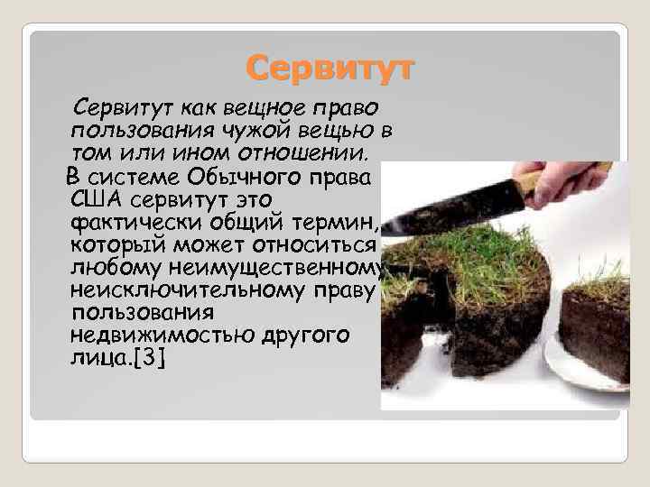 Сервитут как вещное право пользования чужой вещью в том или ином отношении. В системе
