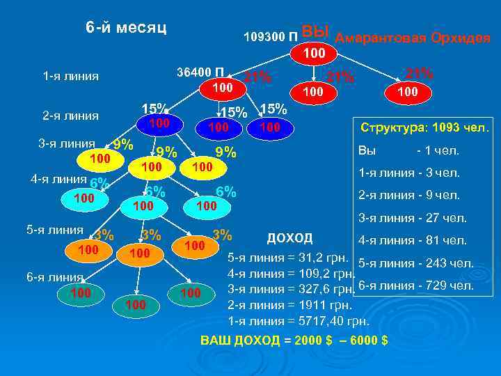 6 -й месяц 109300 П ВЫ Амарантовая Орхидея 100 36400 П 21% 100 1