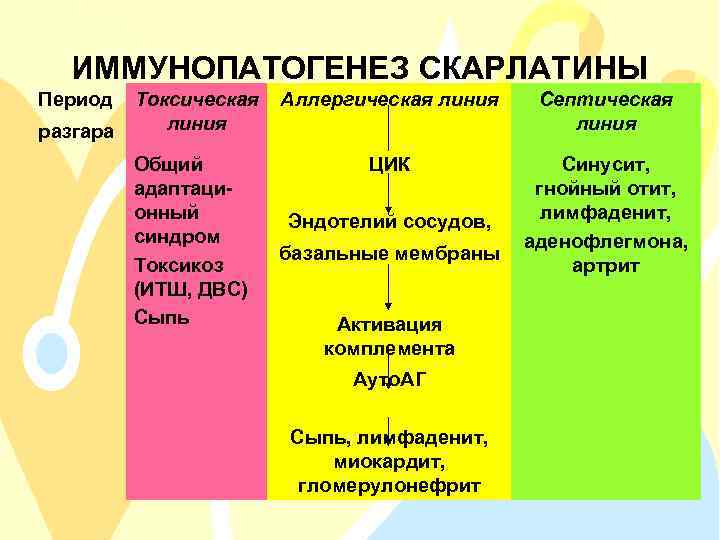 ИММУНОПАТОГЕНЕЗ СКАРЛАТИНЫ Период разгара Токсическая линия Общий адаптационный синдром Токсикоз (ИТШ, ДВС) Сыпь Аллергическая