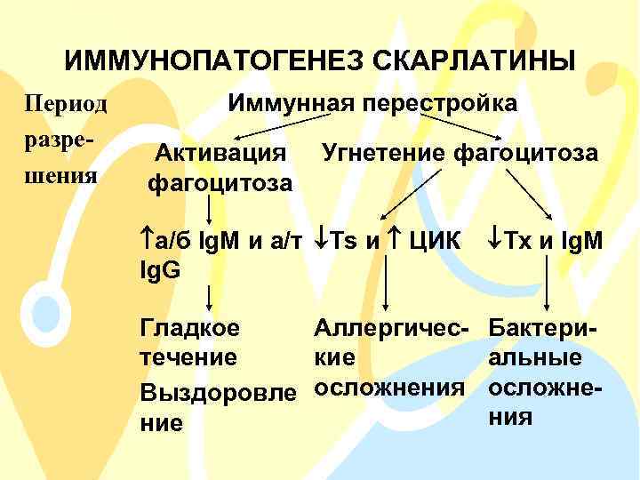 ИММУНОПАТОГЕНЕЗ СКАРЛАТИНЫ Период разрешения Иммунная перестройка Активация фагоцитоза Угнетение фагоцитоза а/б Ig. M и