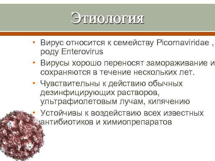 Этиология • Вирус относится к семейству Picornaviridae , роду Enterovirus • Вирусы хорошо переносят